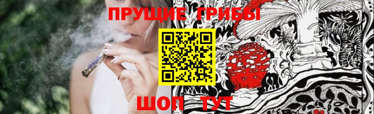 Галлюциногенные грибы GOLDEN TEACHER Орёл